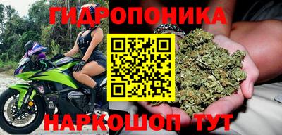 тгк Ипатово
