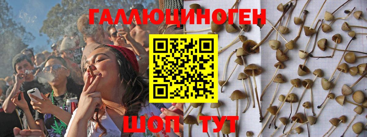 Псилоцибиновые грибы Magic Shrooms Кропоткин
