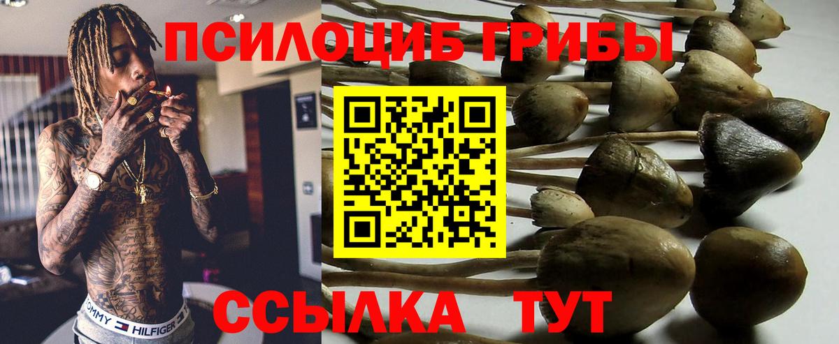 Псилоцибиновые грибы Psilocybine cubensis  Вход с VPN  Кропоткин 